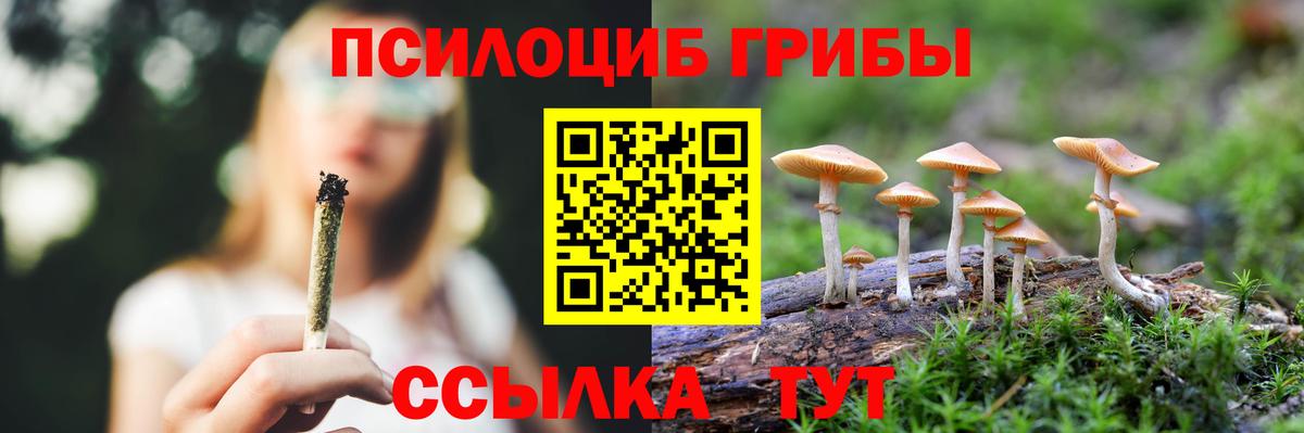 Десногорск  Псилоцибиновые грибы Psilocybe  Вход с VPN 